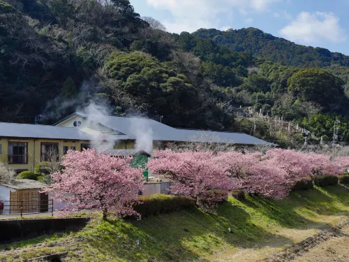 Hotel Kawachiya