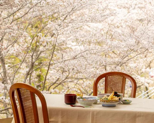 Shin Kabakawa Kanko Hotel Các khách sạn gần Phố Shionoe-cho