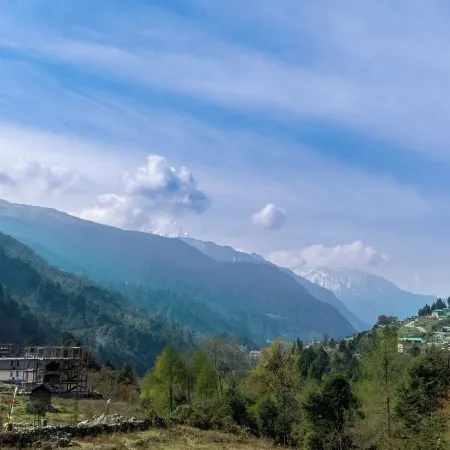 Whispering Pines Lachung