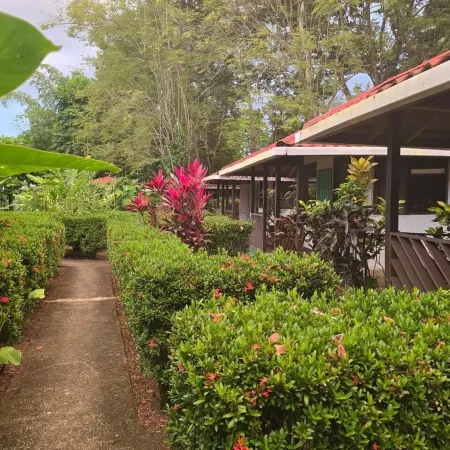 Osa Lodge