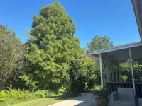 Oldsmar Oakleaf Villa! on Wildlife Area, Natural Privacy! Patio Garage. King Bed - Wi-Fi