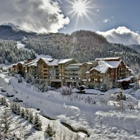 Evolution Whistler