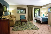 Club Wyndham Palm-Aire - bar