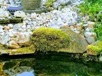 如家酒店 多爾馬根酒店