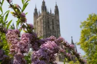 Canterbury Cathedral Lodge - 4 звезды