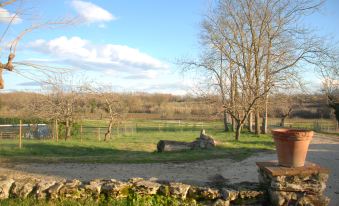 Silence and Relaxation for Families and Couples in the Countryside of Umbria