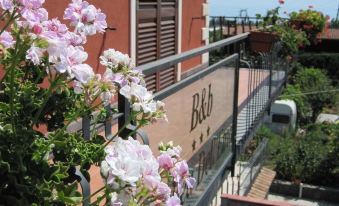 B&B Anthea Dell'Etna