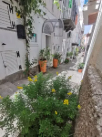 Lo Nardo Accommodation