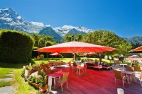 Aiguille du Midi - Hôtel & Restaurant Hotels in Les Houches