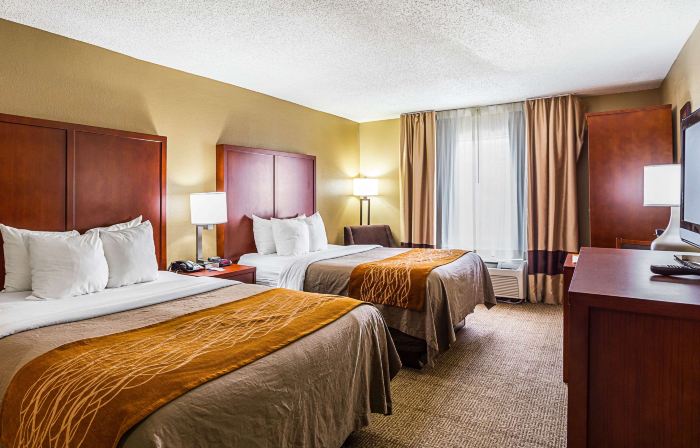 Comfort Inn University Area
