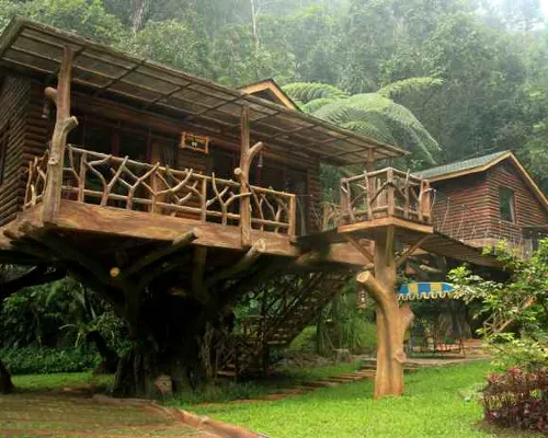 Safari Resort الأماكن العامة Photos