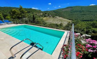 Sleeps 8. Pool Onsite - Exclusive Holidays Home and Cottage.