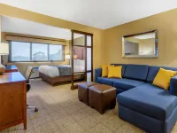 Comfort Inn & Suites Logan International Airport Hotels near North End