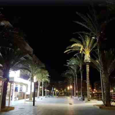 Apartment 350 Meters from Playa del Cura Others
