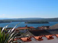 Punat
