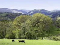 Ty Isaf Penrhyddion