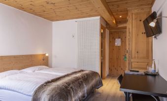 Hotel Alpina - Swiss Ski & Bike Lodge Grimentz