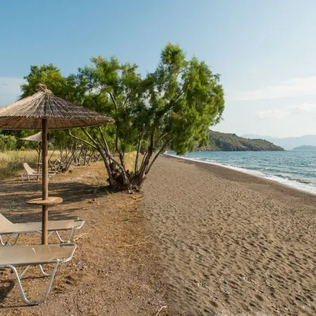 Delfinia Hotel & Bungalows