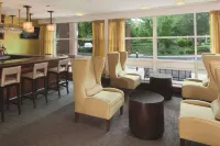 DoubleTree by Hilton Hotel Boston Bayside - bar