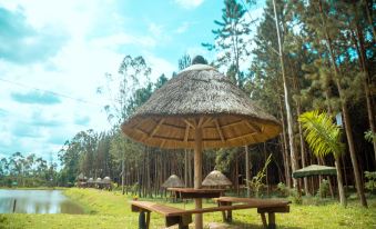 Nyungu Yamawe Forest Park