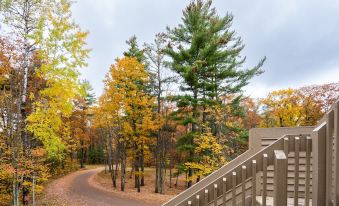 a winding path leading through a wooded area , with autumn leaves on the trees and a wooden house visible in the background at Telemark Northwoods Lodging