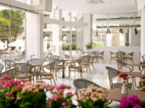 Louis Paphos Breeze Hotels in Chloraka