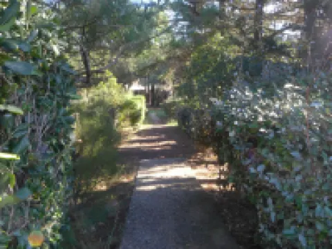 Juncades 塞尼奧斯酒店