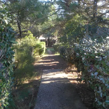 Juncades