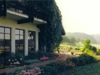Hotel Tannenhof Hotels in Schotten
