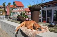 Hotel & Restaurant Fackelgarten Plau am See Hotels in Ludwigslust-Parchim