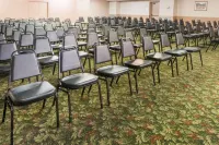 Columbus Grand Hotel & Banquet Center - Jacuzzi