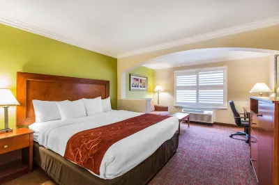 Comfort Suites Fresno River Park Hotels near Cedar Tree Village