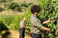 Palagina la Cascina Hôtels à : Figline e Incisa Valdarno