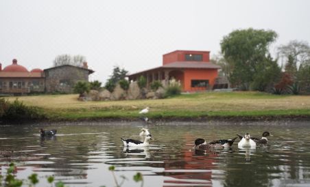 Raices Glamping - Housity