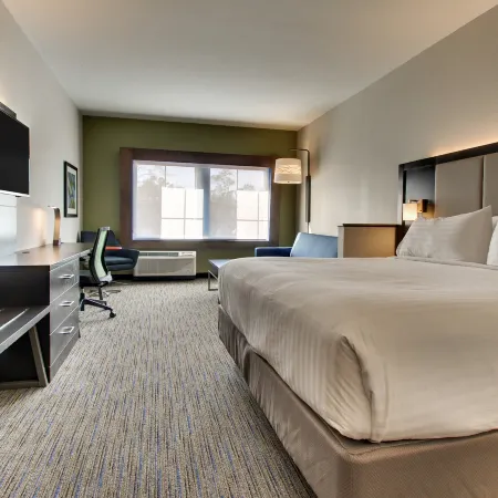 Holiday Inn Express & Suites CHARLESTON NE MT PLEASANT US17 by IHG