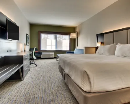 ホリデイ イン エクスプレス & スイーツ チャールストン NE マウント プレザント US17 by IHG マウント・プレザントのホテル