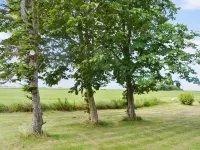 "Juuso" - 20km from the Sea Hotels in Bredebro