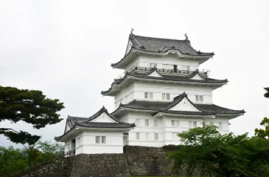 Kamonomiya Station Hotel Отели рядом со станцией Одавара
