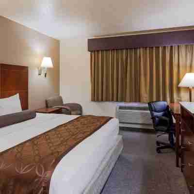 Best Western Desert Oasis Rooms