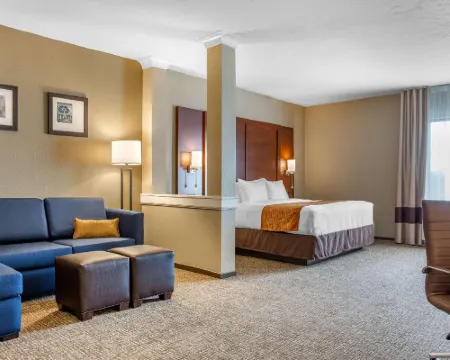Comfort Inn & Suites Boise Airport Hotels in Boise