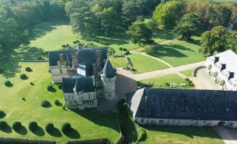 an aerial view of a castle surrounded by a lush green lawn and trees , with the castle in the foreground at Chateau de la Bourdaisiere