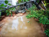 Hirayama Ryokan - Hot Springs