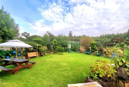Jeju GB House Pension Отели рядом с достопримечательностью «Jeju Jeolmul Natural Recreation Forest»