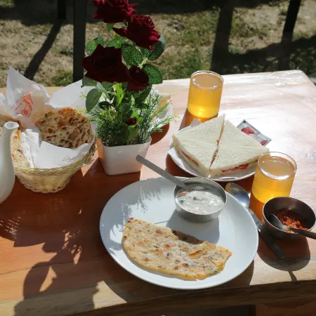Hotel Mountain Trail Manali