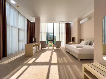 Chateau Milisi Отели в г. Силибаури