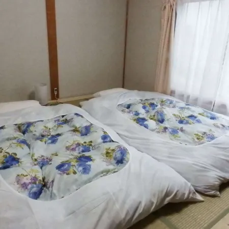 Pension Metasekoia