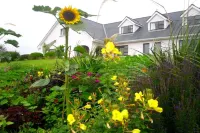 Cregg House Hotel a Renvyle