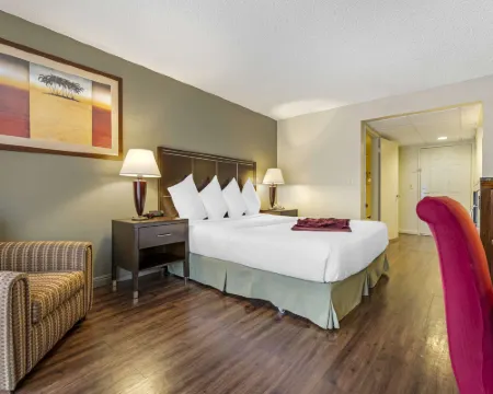 เบสท์เวสเทิร์นพลัส ปาล์มเดสเสิร์ทรีสอร์ท โรงแรมในปาล์มดีเซิร์ท