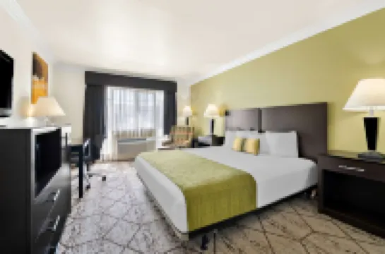 Best Western Executive Inn