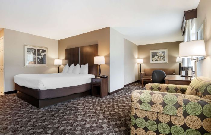 Best Western Plus Oak Mountain Inn
